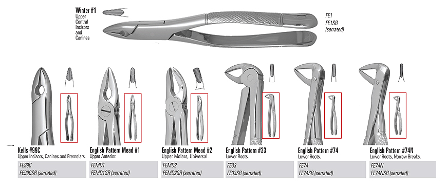 Extraction Forceps Chart